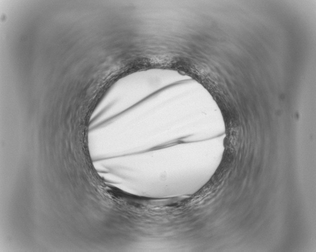 X0000088601249200706221357