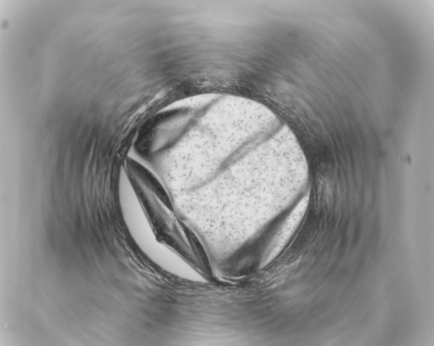 X0000088601250200706221357