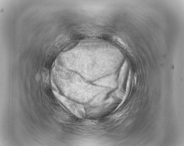 X0000088601251200706221357