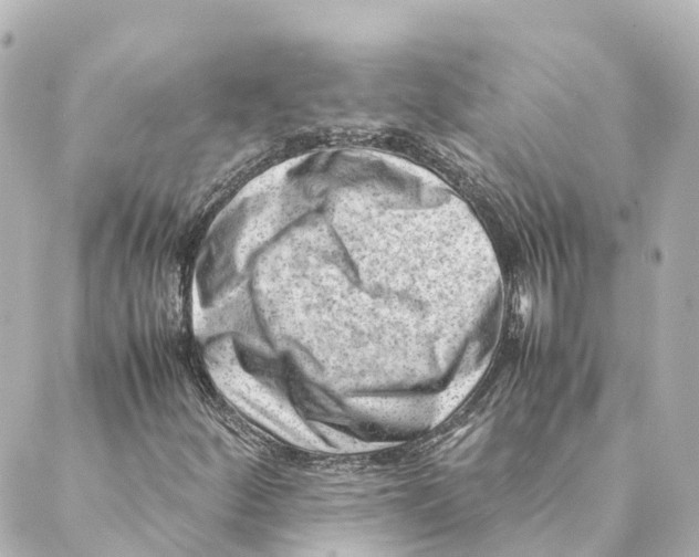 X0000088601252200706221357