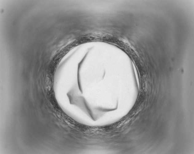 X0000088601253200706221357