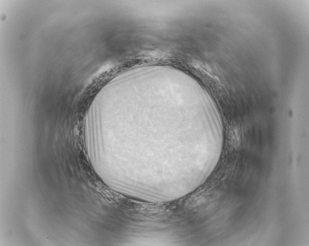 X0000088601254200706221357