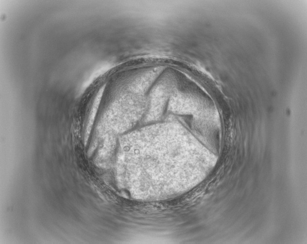 X0000088601255200706221357