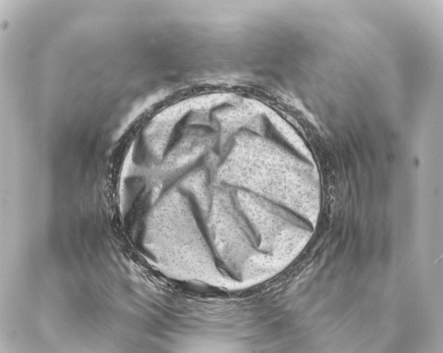 X0000088601256200706221357