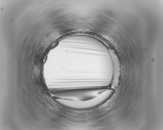 X0000088601257200706221357