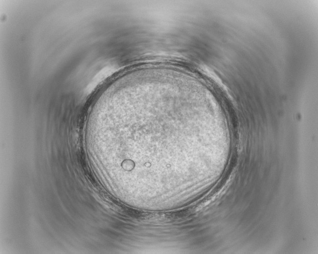 X0000088601259200706221357