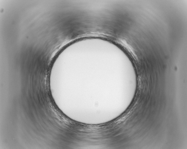 X0000088601260200706221357