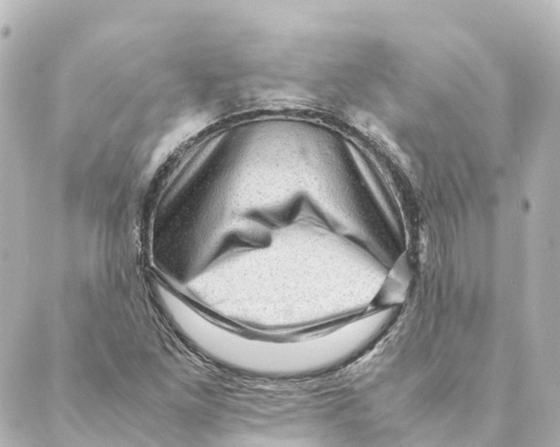 X0000088601261200706221357