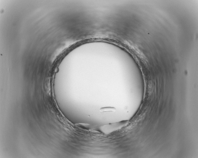 X0000088601262200706221357