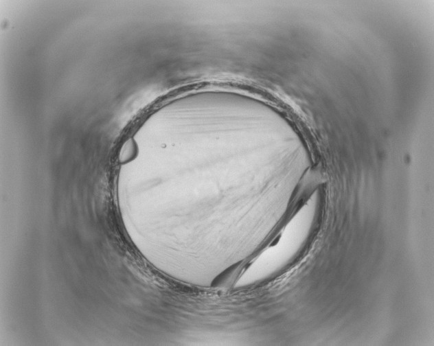 X0000088601263200706221357