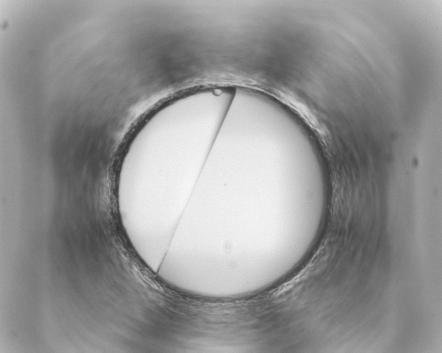 X0000088601264200706221357