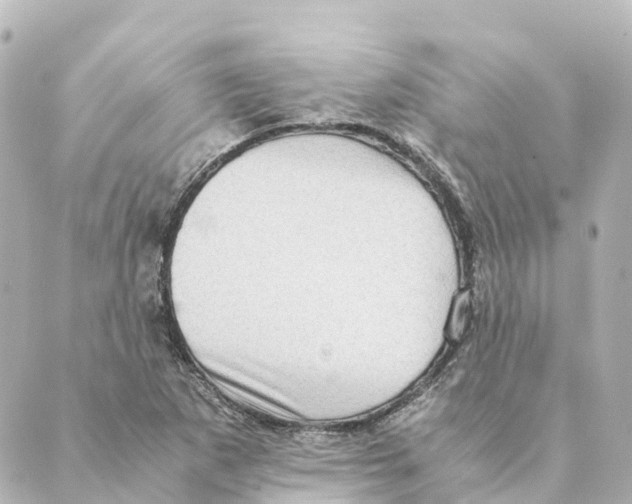 X0000088601265200706221357