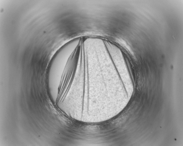 X0000088601268200706221357