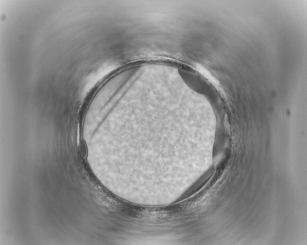 X0000088601269200706221357