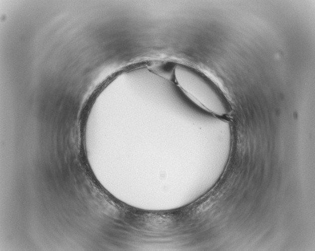 X0000088601270200706221357