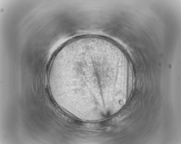 X0000088601271200706221357