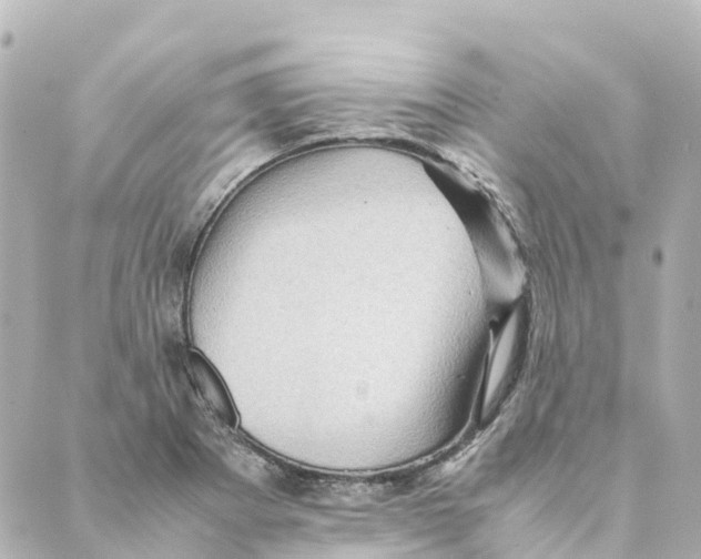 X0000088601273200706221357