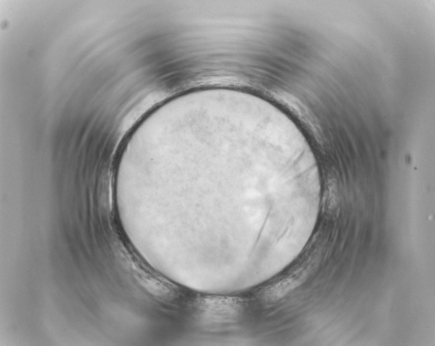 X0000088601274200706221357