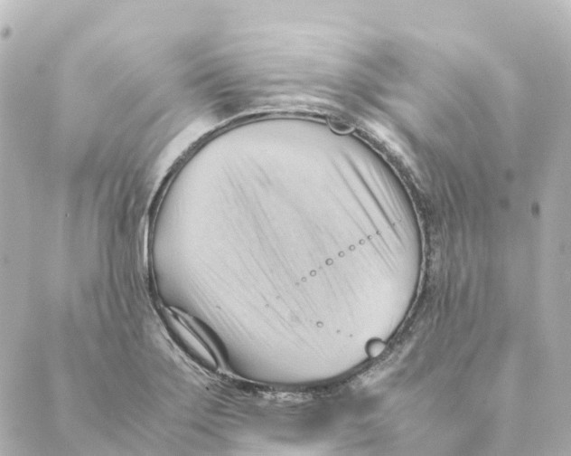 X0000088601275200706221357