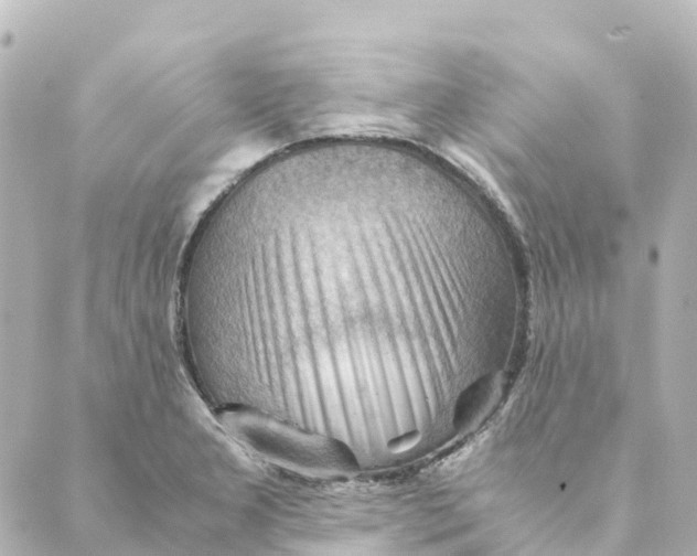 X0000088601277200706221357