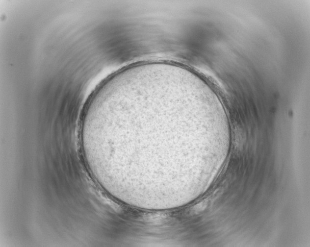 X0000088601278200706221357