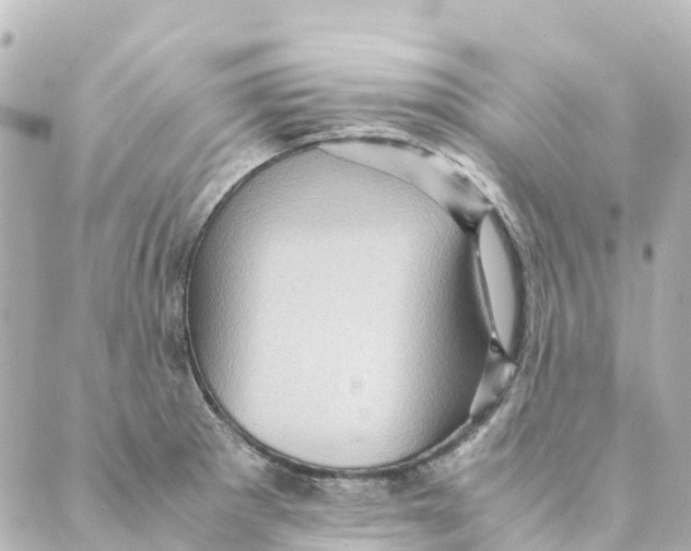 X0000088601281200706221357