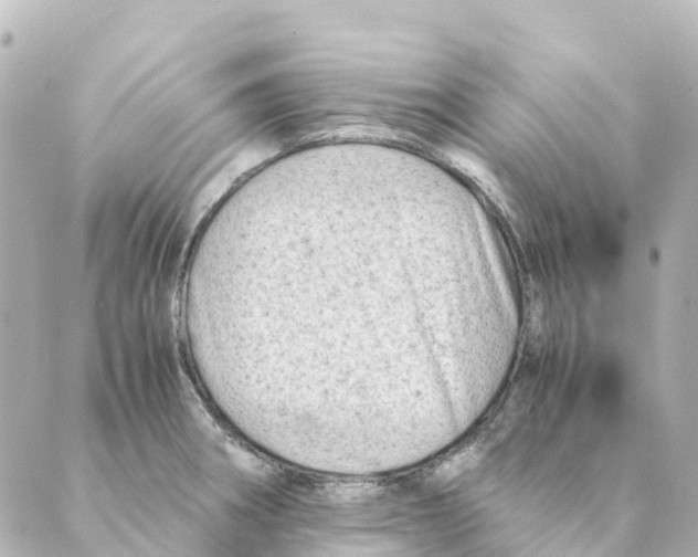 X0000088601282200706221357