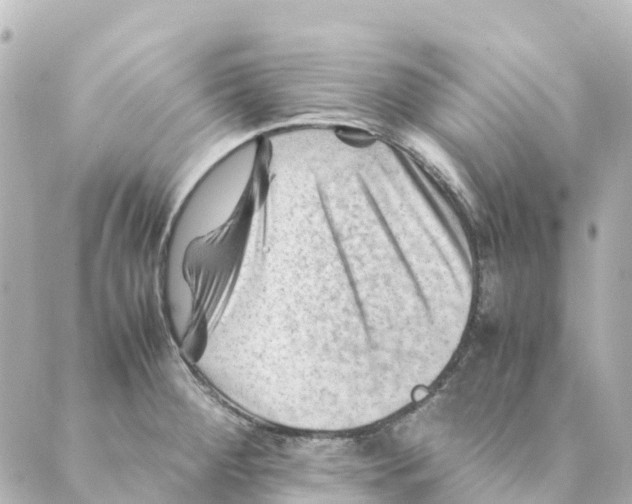 X0000088601284200706221356