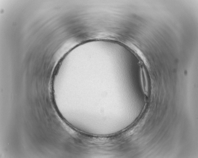 X0000088601285200706221356