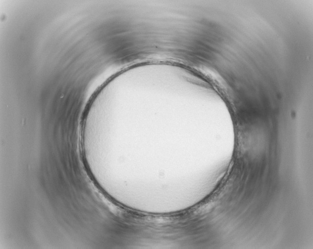 X0000088601286200706221356