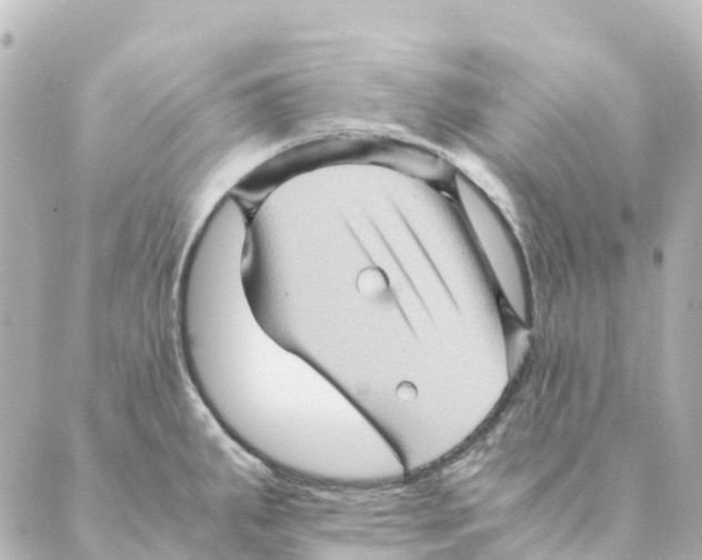 X0000088601287200706221356