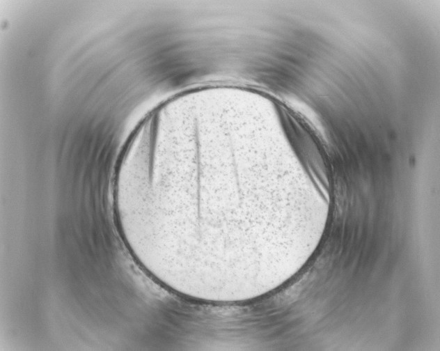 X0000088601288200706221356