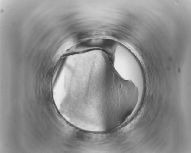 X0000088601289200706221356