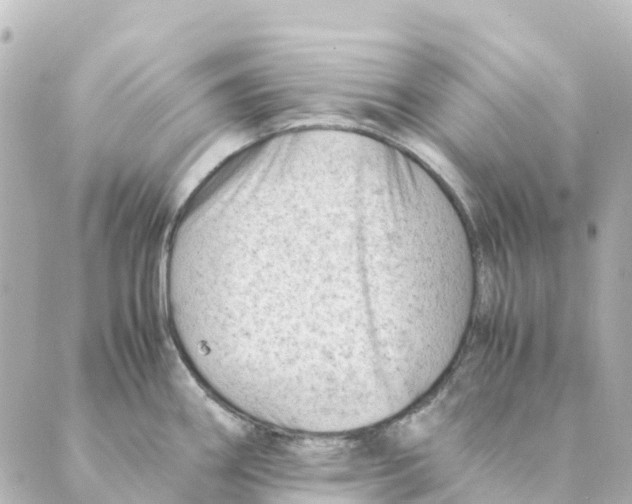 X0000088601290200706221356