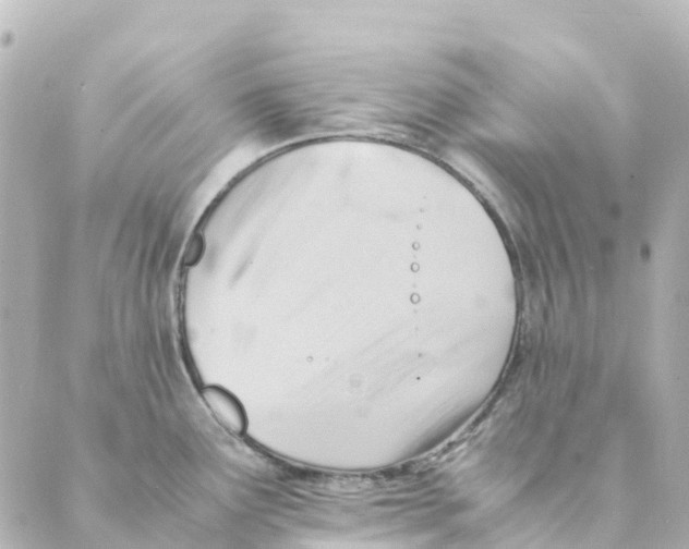 X0000088601291200706221356