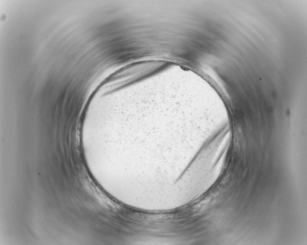 X0000088601292200706221356