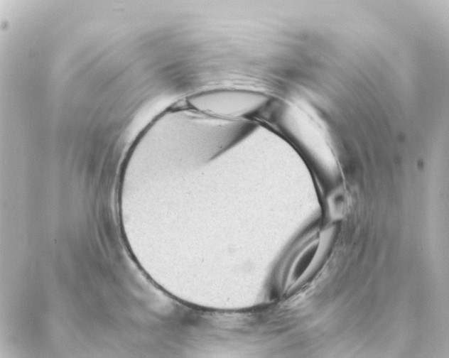 X0000088601293200706221356