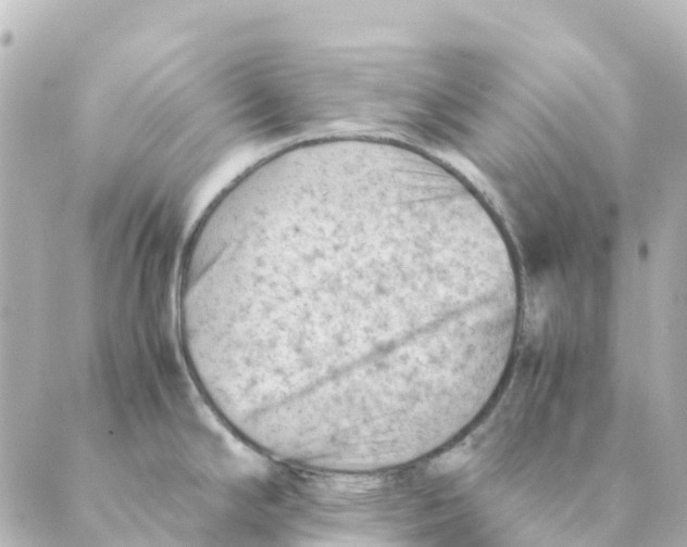 X0000088601294200706221356