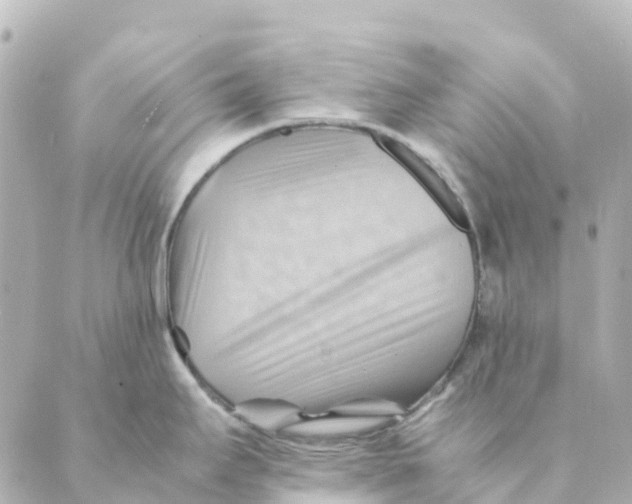 X0000088601295200706221356