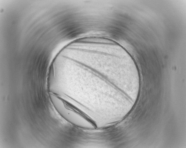 X0000088601296200706221356