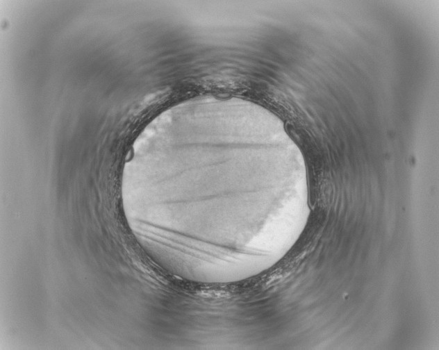 X0000088601297200706221356