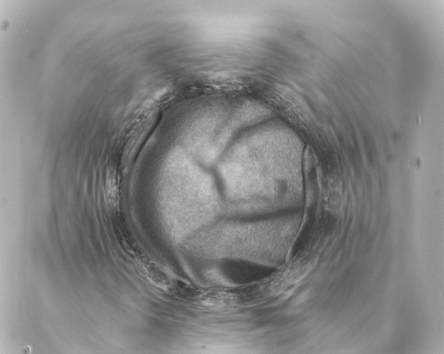 X0000088601298200706221356