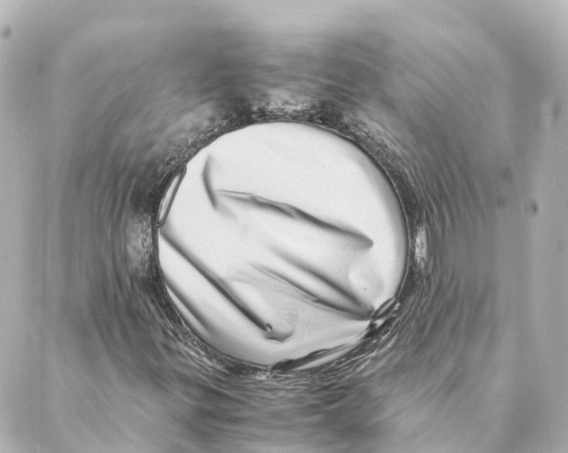 X0000088601299200706221356