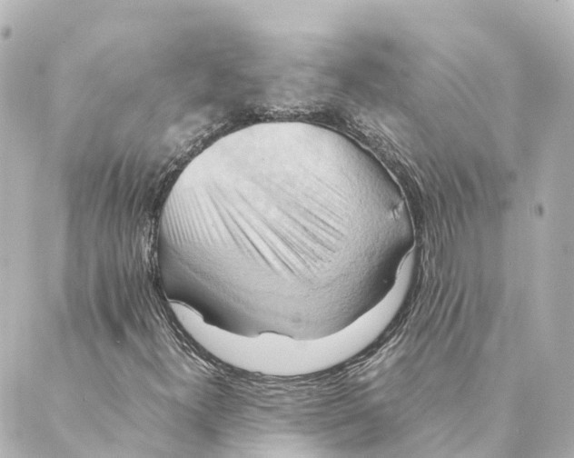 X0000088601300200706221356