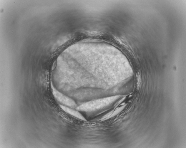 X0000088601301200706221356