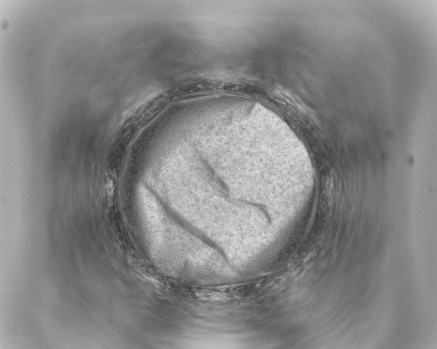 X0000088601302200706221356