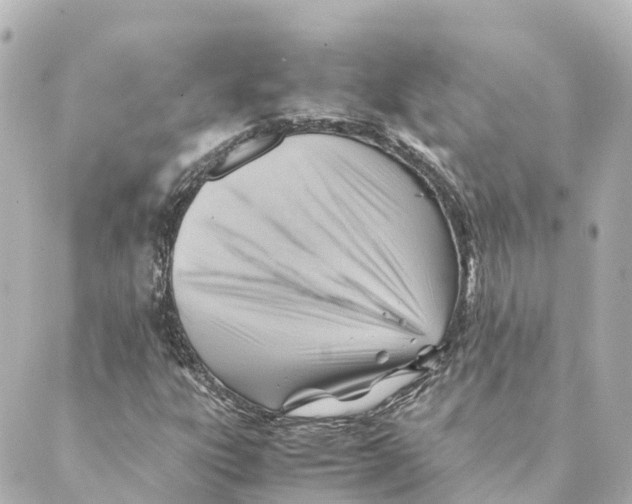 X0000088601303200706221356