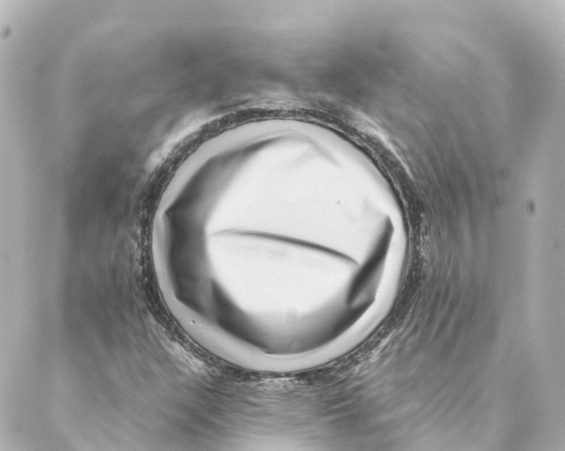 X0000088601304200706221356