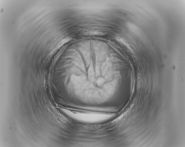 X0000088601305200706221356