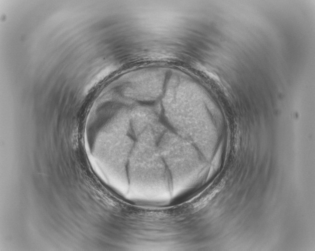 X0000088601306200706221356